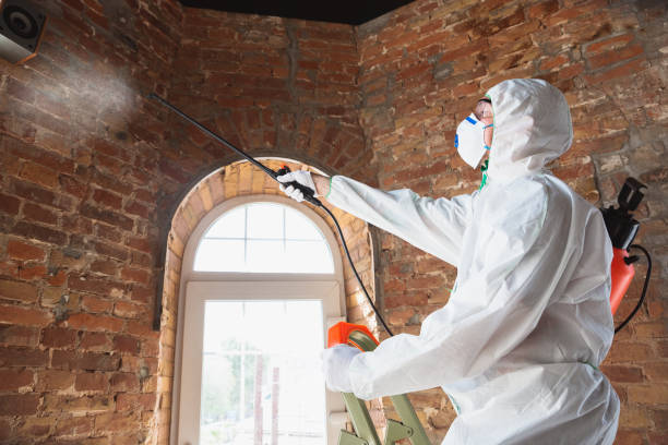 Best Mold Prevention Services  in Coronita, CA